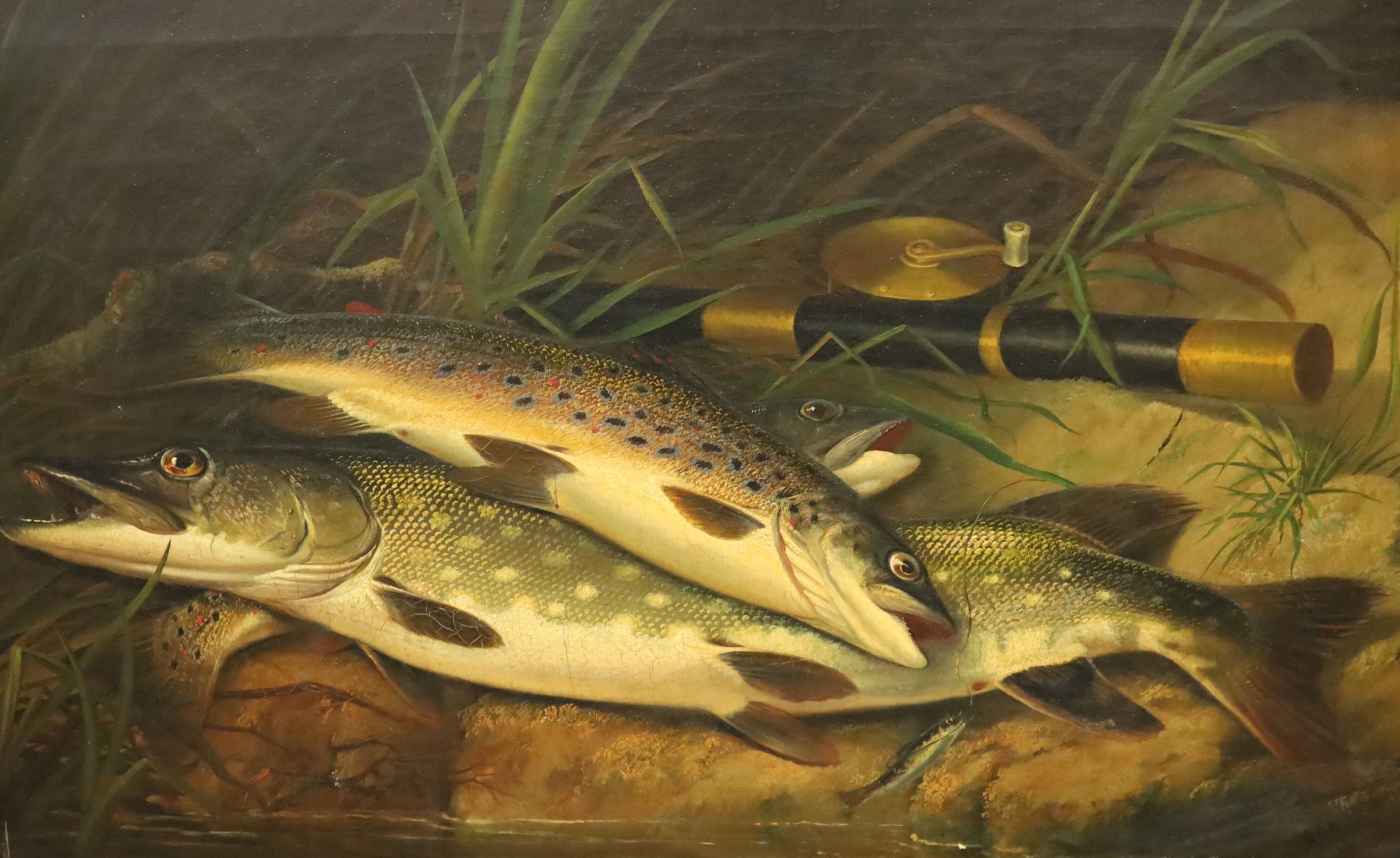 Thomas G. Targett (fl.1868-1896), Rainbow Trout and Pike on a riverbank beside a rod and reel, oil on canvas, 40 x 60cm